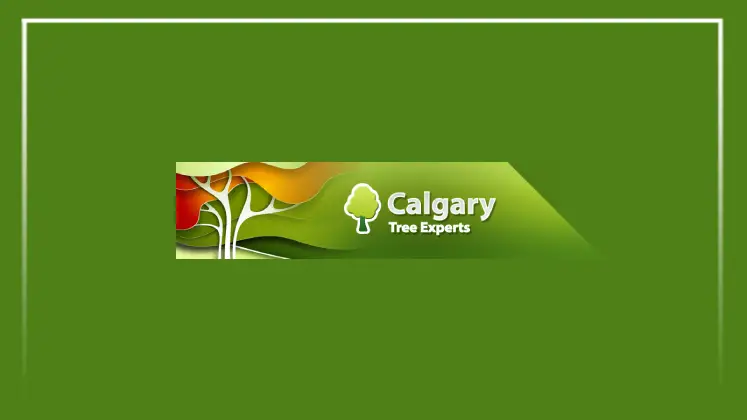 Calgary Tree Experts